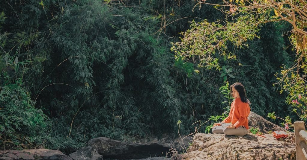 Tree Services North Brisbane Nudgee Beach